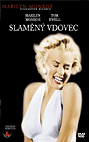 Slaměný vdovec - DVD