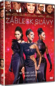 Záblesk slávy - DVD