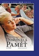 Dokonalá paměť DVD