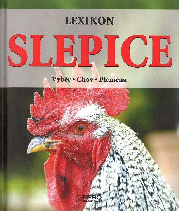 Slepice (Tobias Pehle, Yara Hackstein)