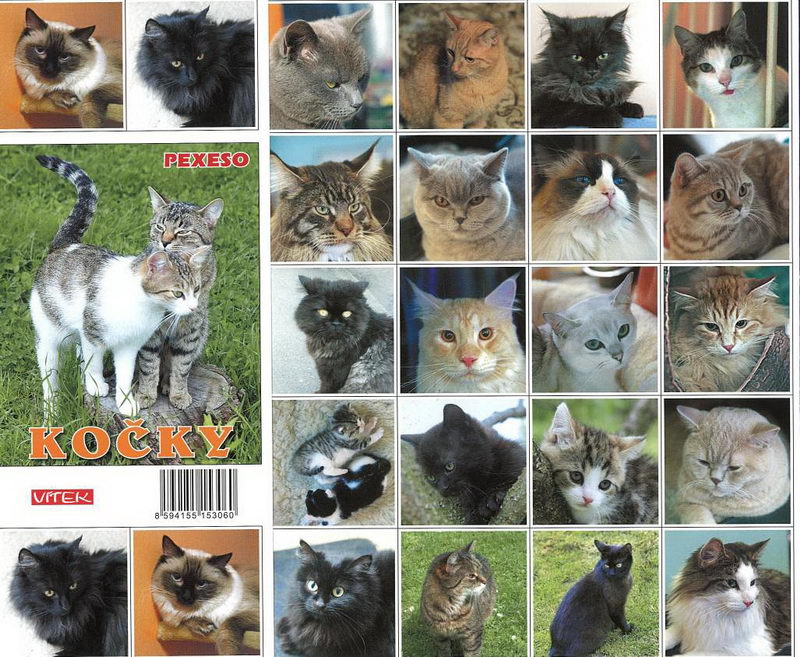 Pexeso - kočky