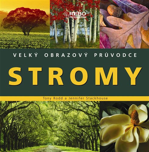 Stromy (velký obrazový průvodce) - Tony Rodd a Jennifer Stackhouse