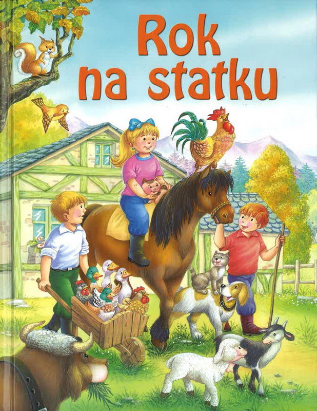 Rok na statku - kniha