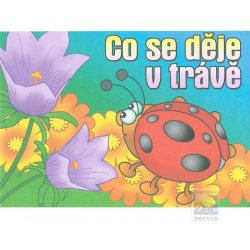 Co se děje v trávě omalovánky A5