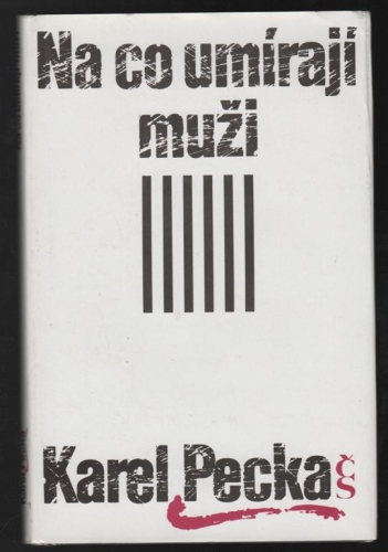 Na co umírají muži kniha