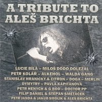 A Tribute To Aleš Brichta CD