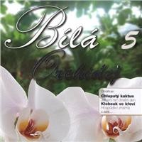Bílá orchidej 5 - CD