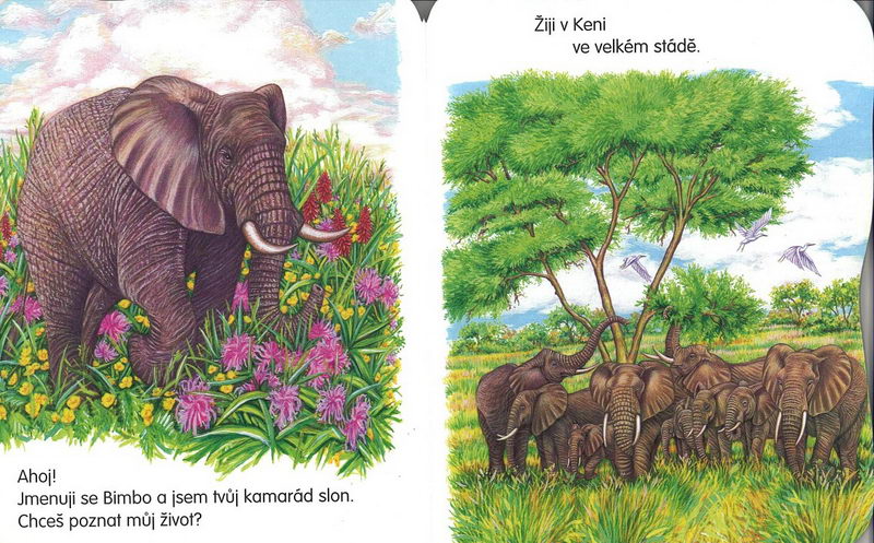 Moji kamarádi zvířátka - Slon