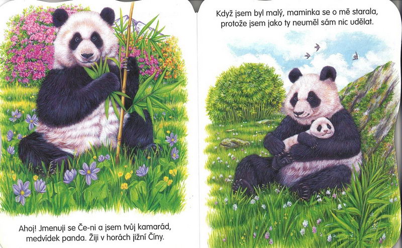 Moji kamarádi zvířátka - Panda