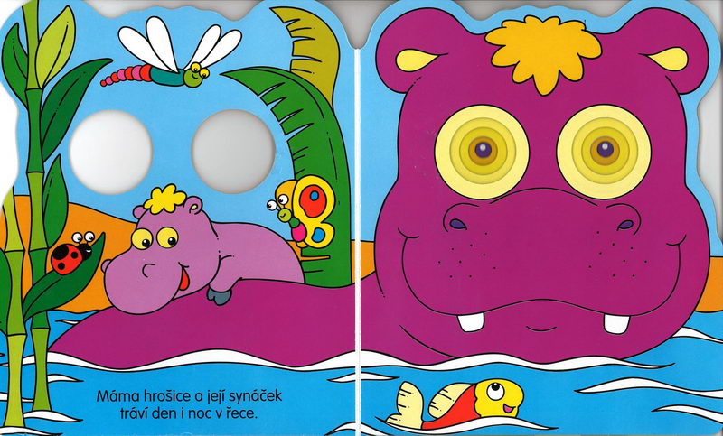 Podívej se, kdo žije V pralese
