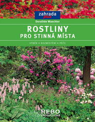 Rostliny pro stinná místa (výběr, rozmístění, péče)