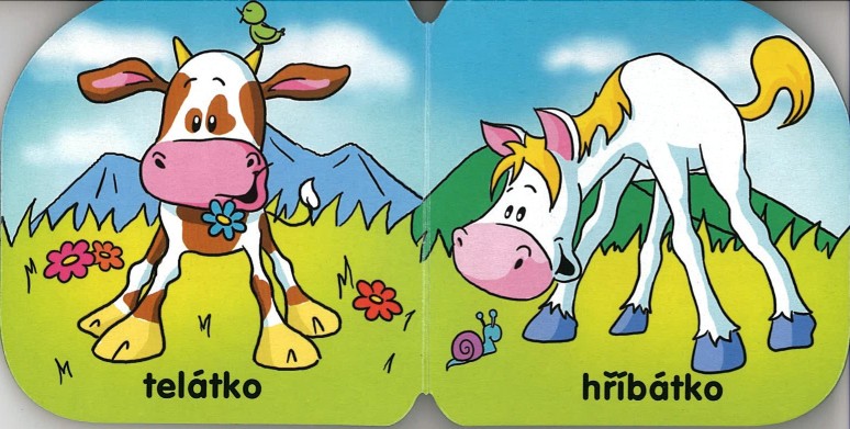Zvířátka