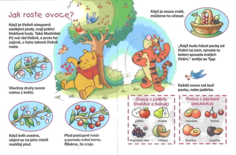 Medvídek Pú - Plody - kniha