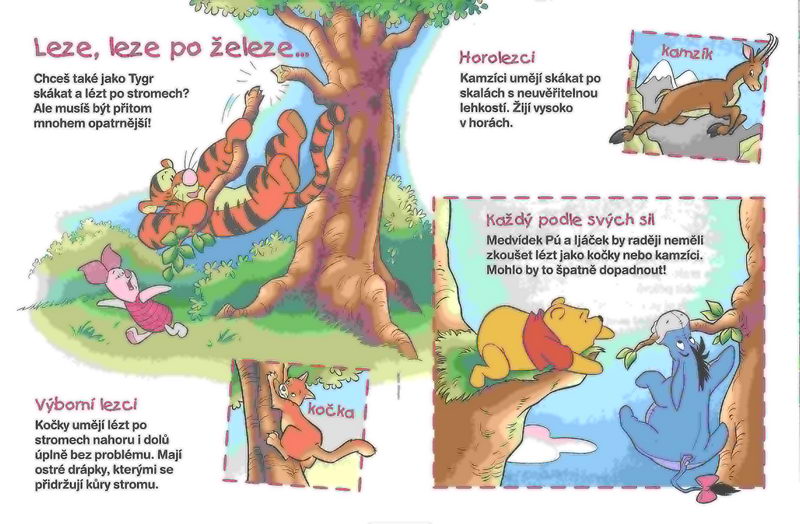 Medvídek Pú - Nástrahy a nebezpečí - kniha