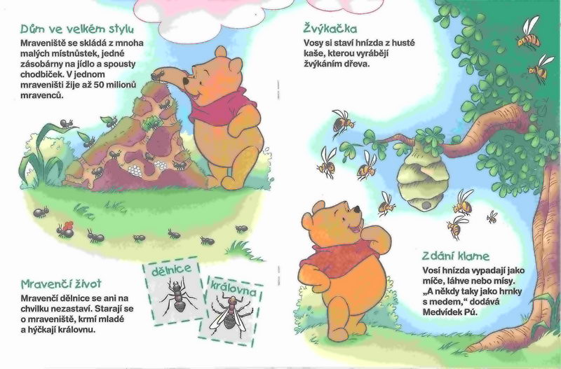 Medvídek Pú - Poznáváme zvířecí domov - kniha