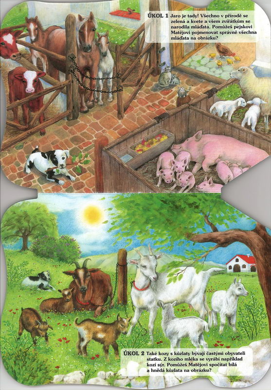 Statek plný zvířátek - Markéta Vydrová