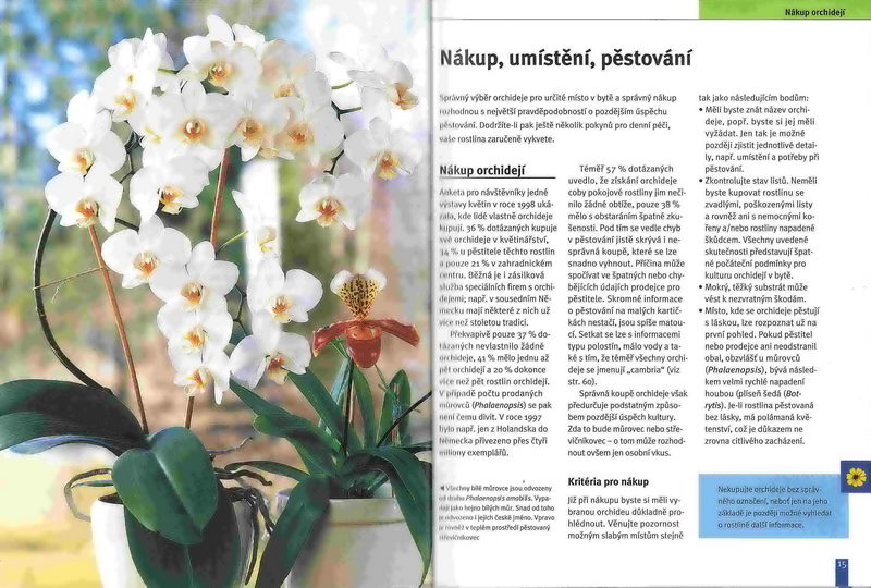 Orchideje (zahrada plus) - Jörn Pinske