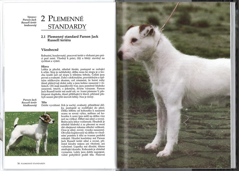 Jack Russell teriér (rádce chovatele) - Esther Verhoef-Verhallen