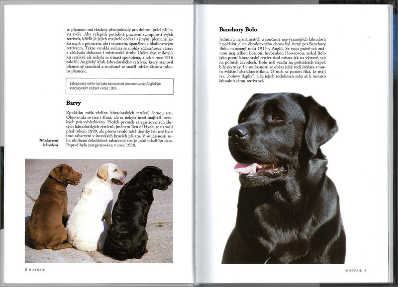 Labradorský retrívr (rádce chovatele) - Esther Verhoef-Verhallen