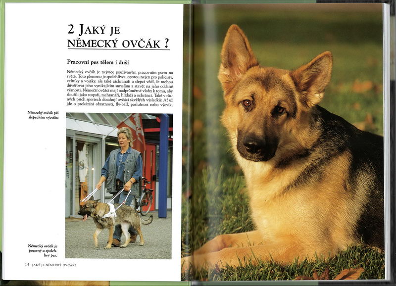 Německý ovčák (rádce chovatele) - Esther Verhoef-Verhallen