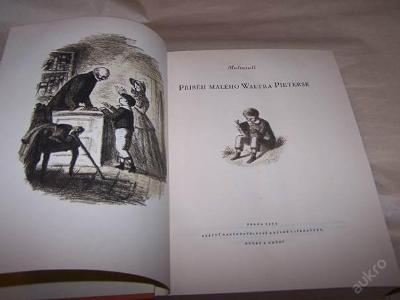 Příběh malého Waltra Pieterse Karel Muller kniha