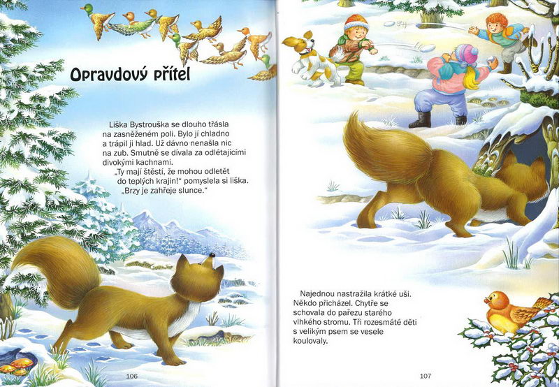 Rok na statku - kniha