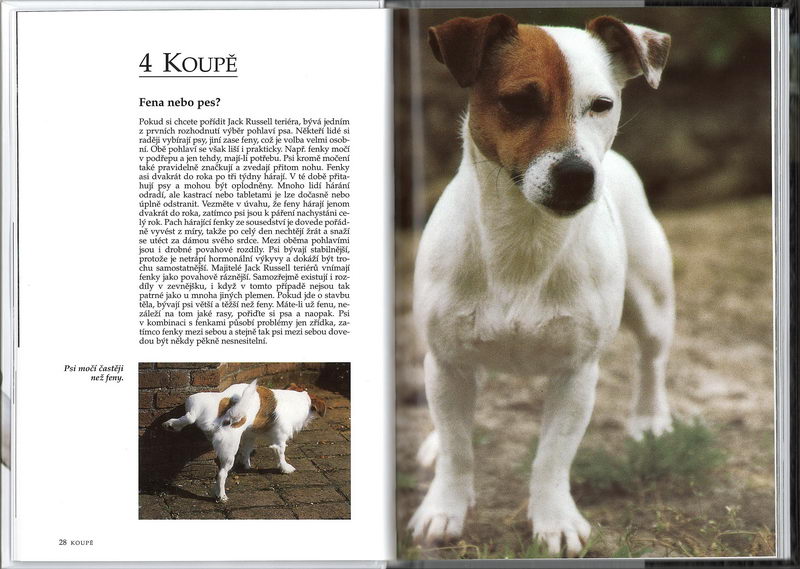 Jack Russell teriér (rádce chovatele) - Esther Verhoef-Verhallen