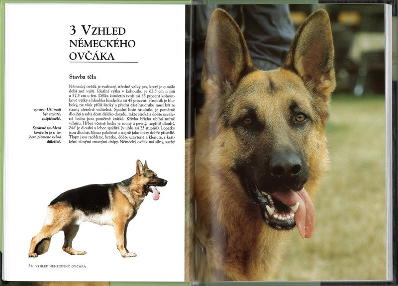 Německý ovčák (rádce chovatele) - Esther Verhoef-Verhallen