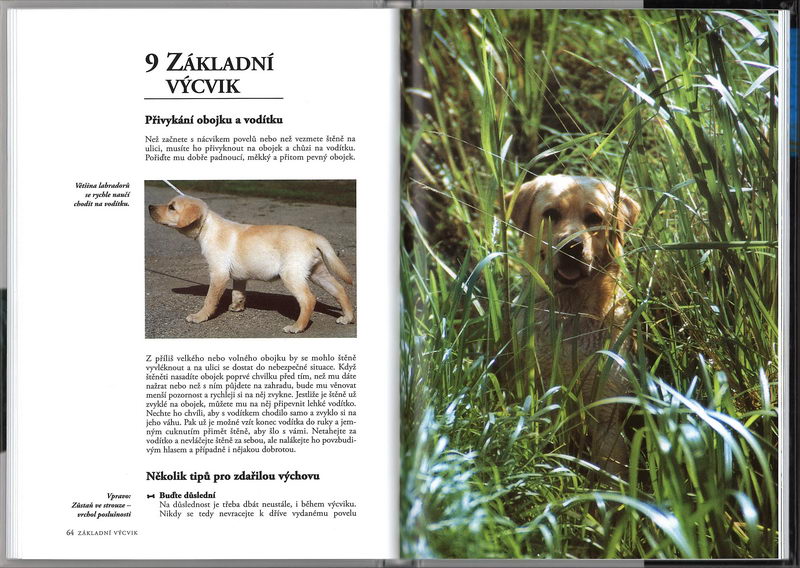 Labradorský retrívr (rádce chovatele) - Esther Verhoef-Verhallen