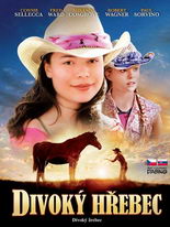 Divoký hřebec - DVD