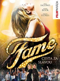 Fame Cesta za slávou - DVD