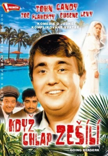 Když chlap zešílí DVD