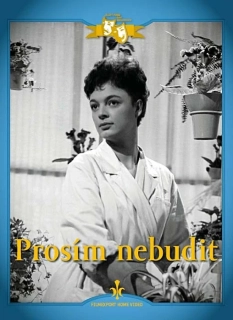 Prosím nebudit DVD (bazarové zboží)