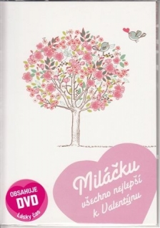 Valentýnské přání - Lásky čas - DVD