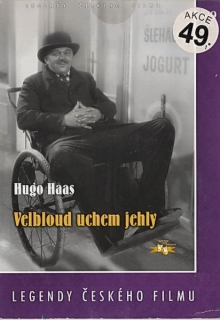 Velbloud uchem jehly - DVD