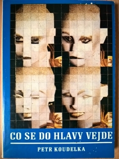 Co se do hlavy vejde kniha