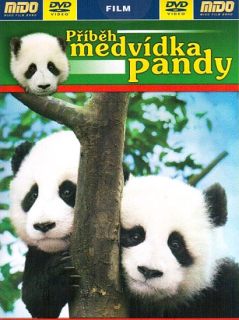 Příběh medvídka Pandy DVD