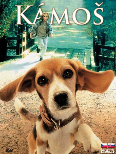 Kámoš - DVD