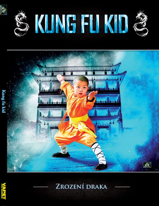 Kung fu kid DVD