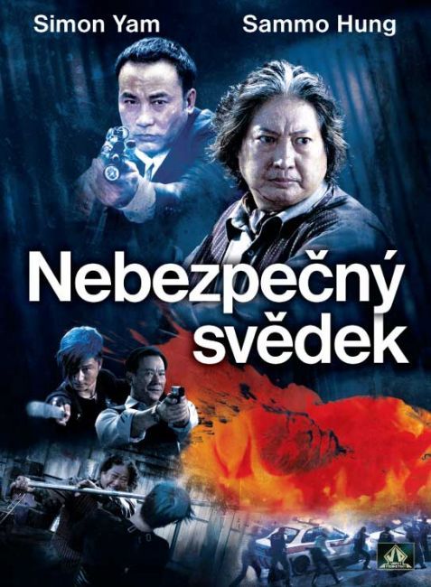 Nebezpečný svědek DVD